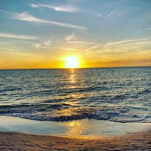 Meet your Posher, Joko